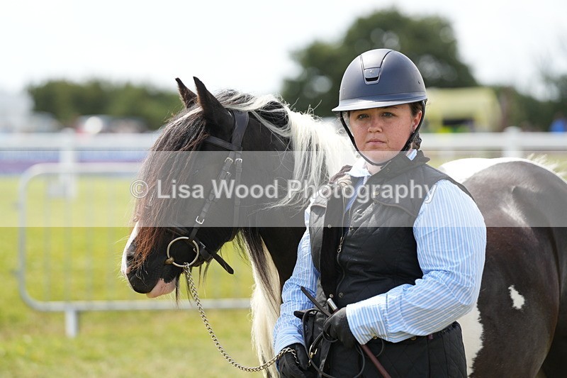 DSC06953 - Class 60: Coloured Pony 4yrs & over