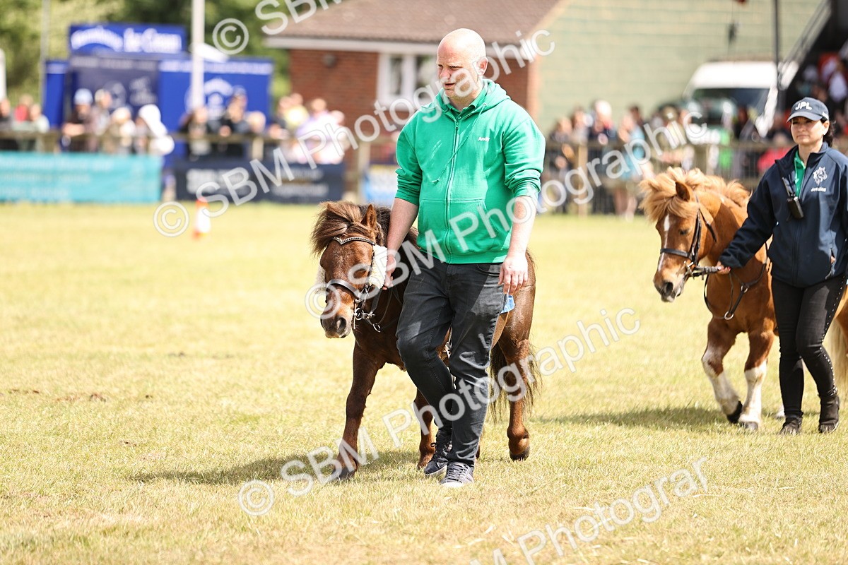 SBM_16380 - Dinky Derby