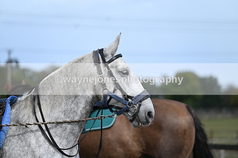 WJ7_6702 - Berks & Bucks at Blandy’s Farm 31-08-25