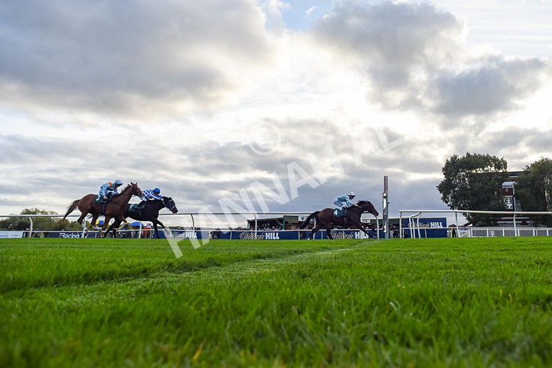 171026-Race 7-Lexington Blitz-9023 - Race 7 4.45pm William Hill Catterick Dash Handicap