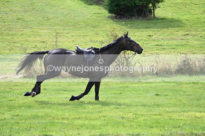 WJ7_7428 - Time 13:21 to 13:29