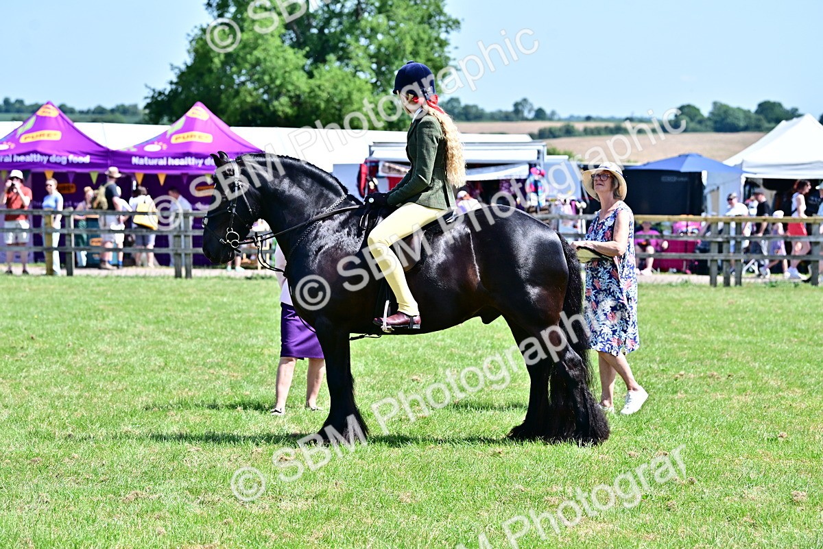 SBM_13993 - Class 95-97 - BSPS LHS Performance Ponies