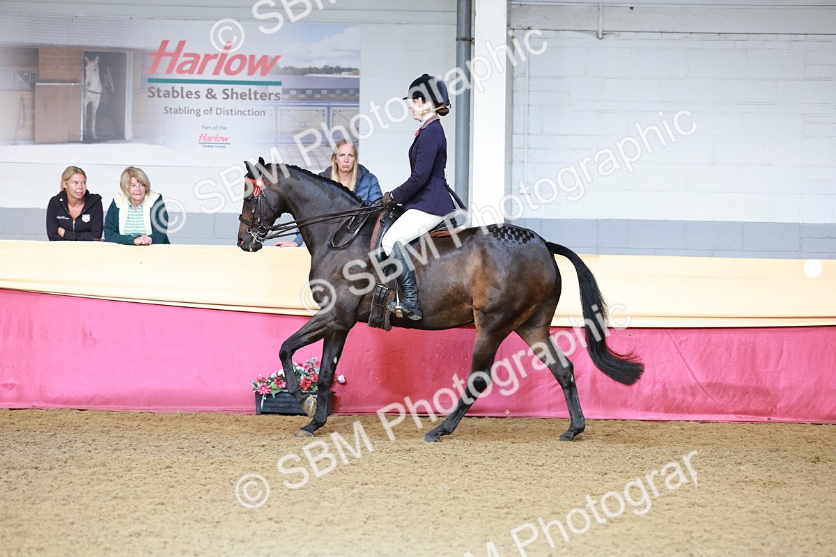 SBM_11887 - Class 102 - Equitation (Best Rider) Adult