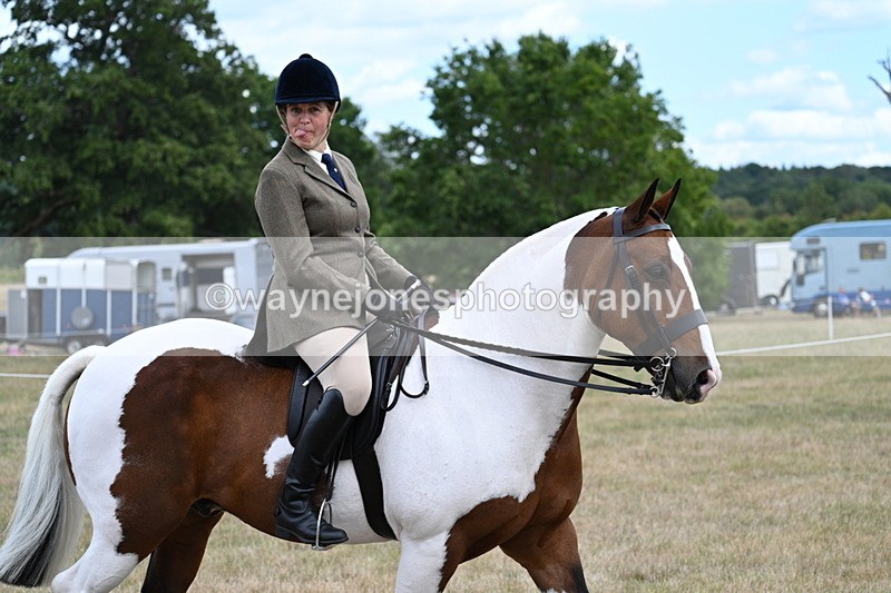 WJ7_5422 - Class 12 Ridden Cob