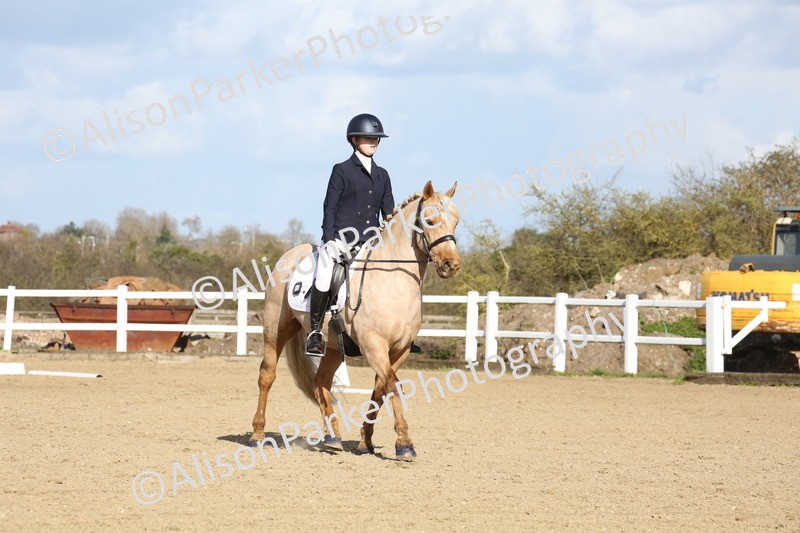 20260314-5165 - DR6 - Novice 2