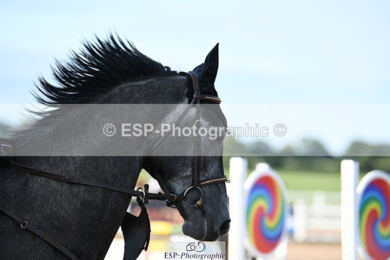 250801-075612-03573 - Cls 20 A&B Brit Nov & 90 Open