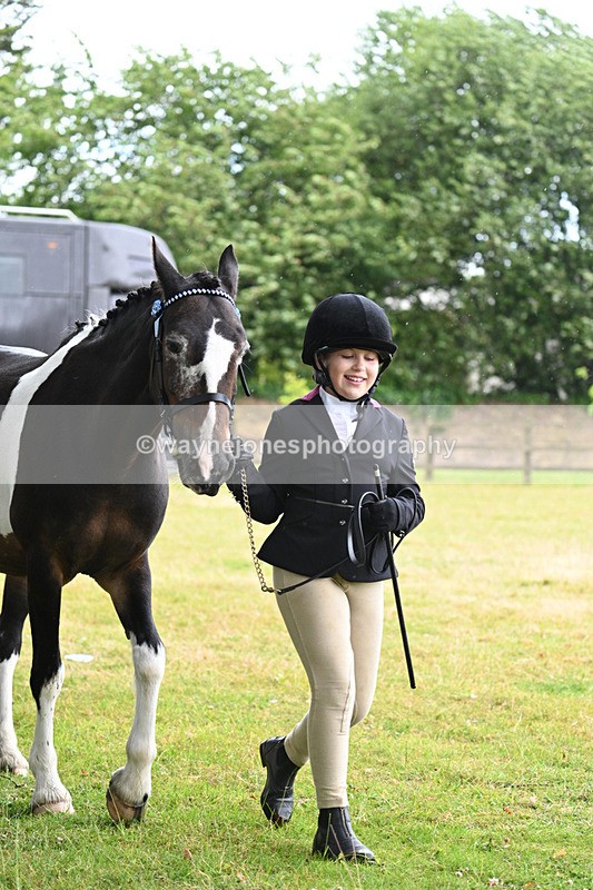 WJ7_5834 - Class 4 Prettiest Mare in Hand