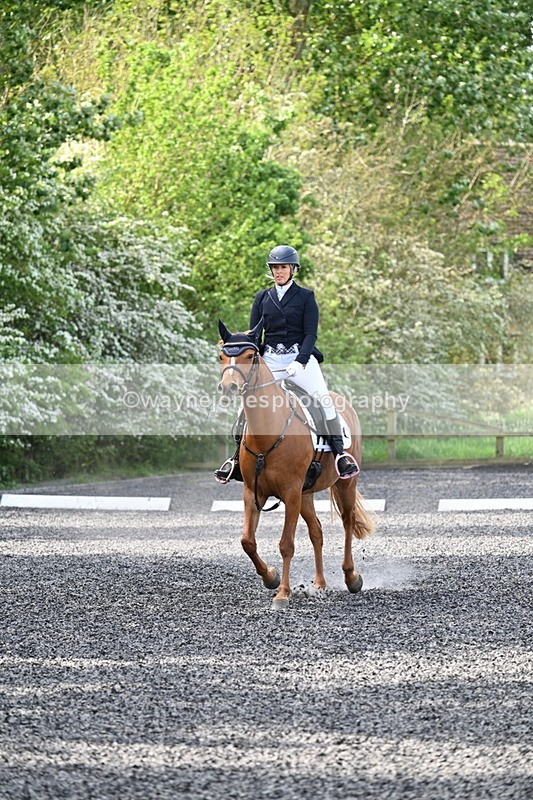 WJ7_7890 - Time 10:11 to 10:27