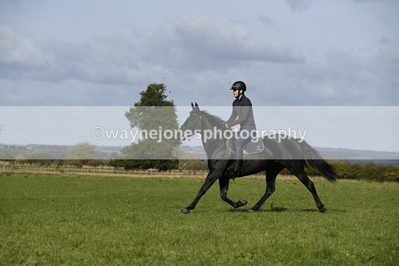 _DSC6175 - Time 11:23 to 12:05