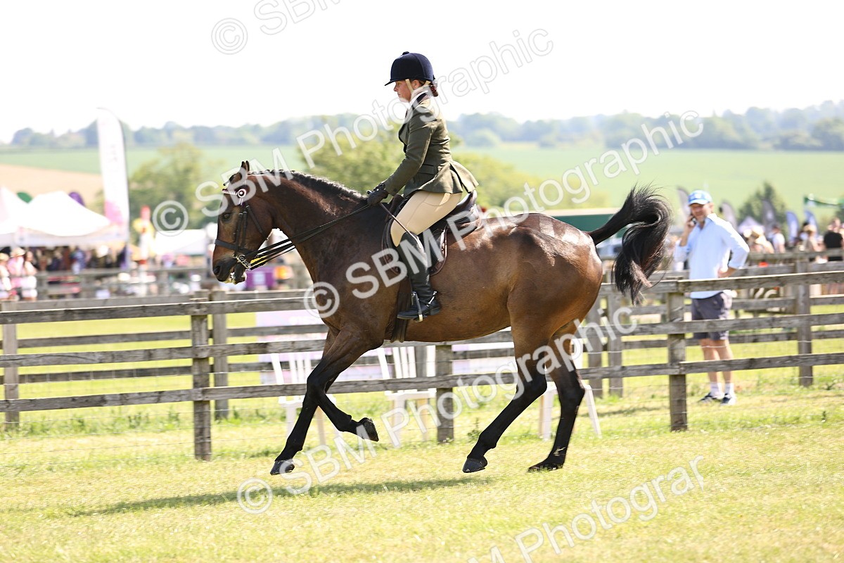 SBM_13013 - Class 75-76 LIHS BSHA Rising Star Hack Riding Horse