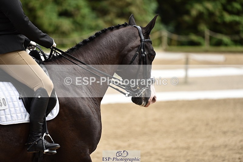 140110A-042704-12148 - 160-Rosey.Bradburn-High.Spirits.II