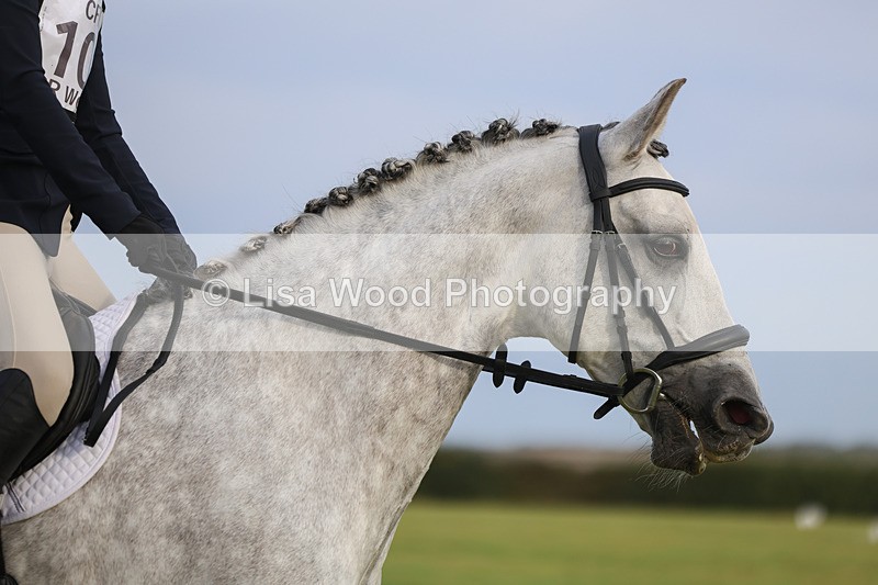 3E7A5013 - Class 1: Trebudannon Open: Dressage