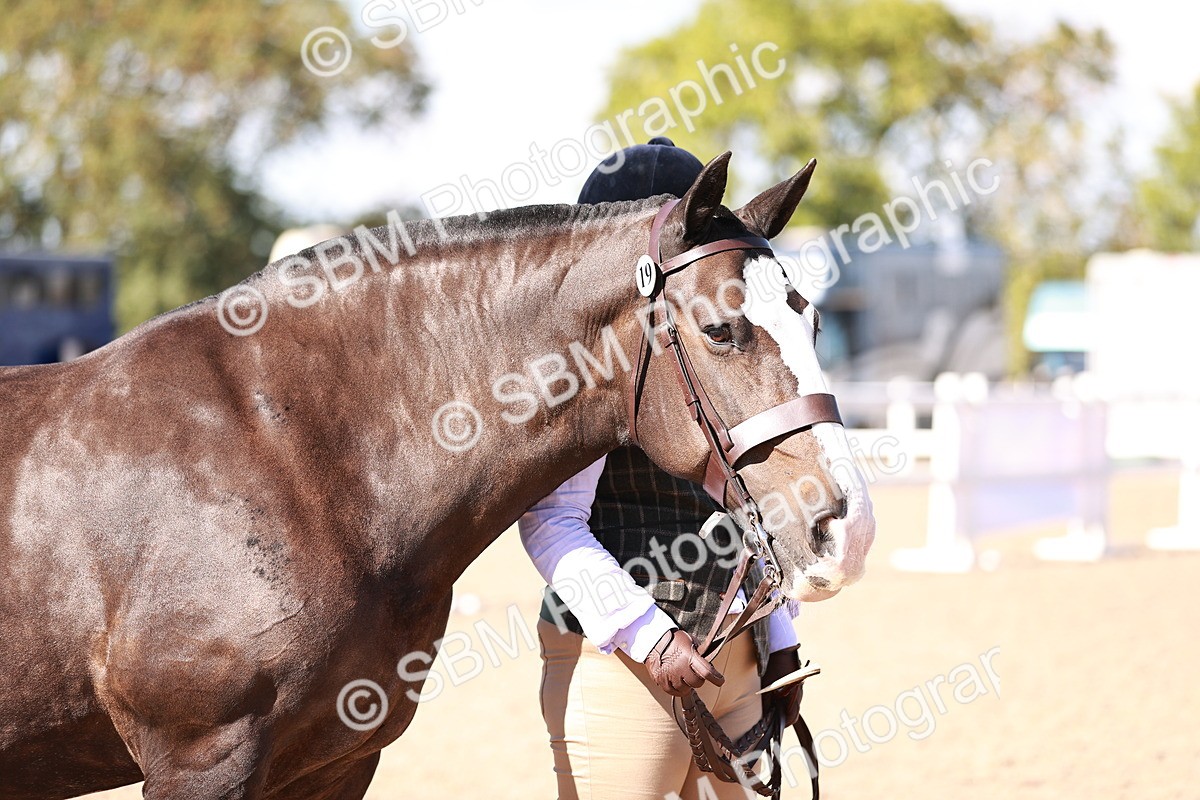SBM_13243 - Class 405 - IH Show Cob