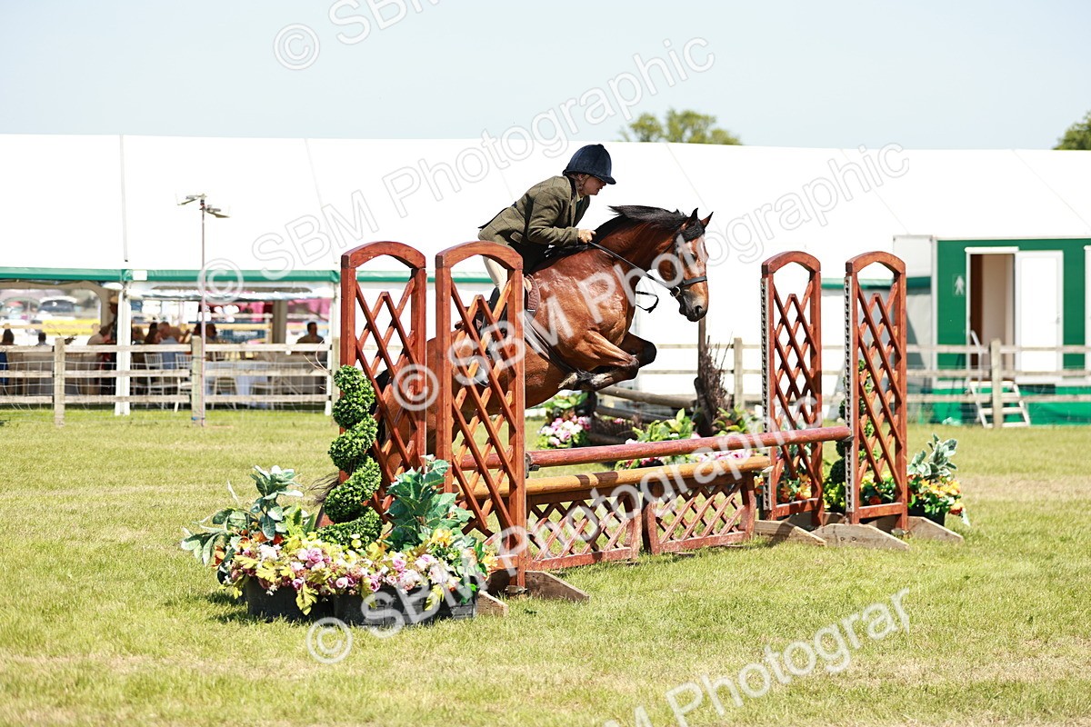 SBM_17352 - Class 110-111 - Training Stakes (70cms 80cms)