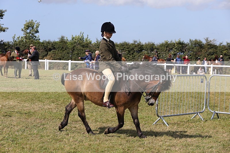 1X9A5568 - Class 39: NPS Dartmoor, Exmoor, Shetland