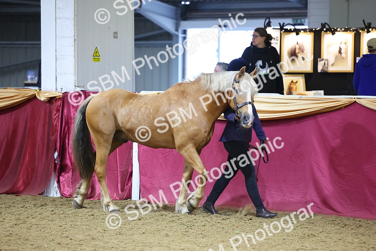 SBM_19574 - Class 901 - Supreme Final - IH Diamond