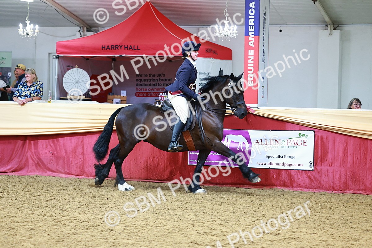 SBM_23229 - Class 905 - Supreme Final - Ridden Veteran