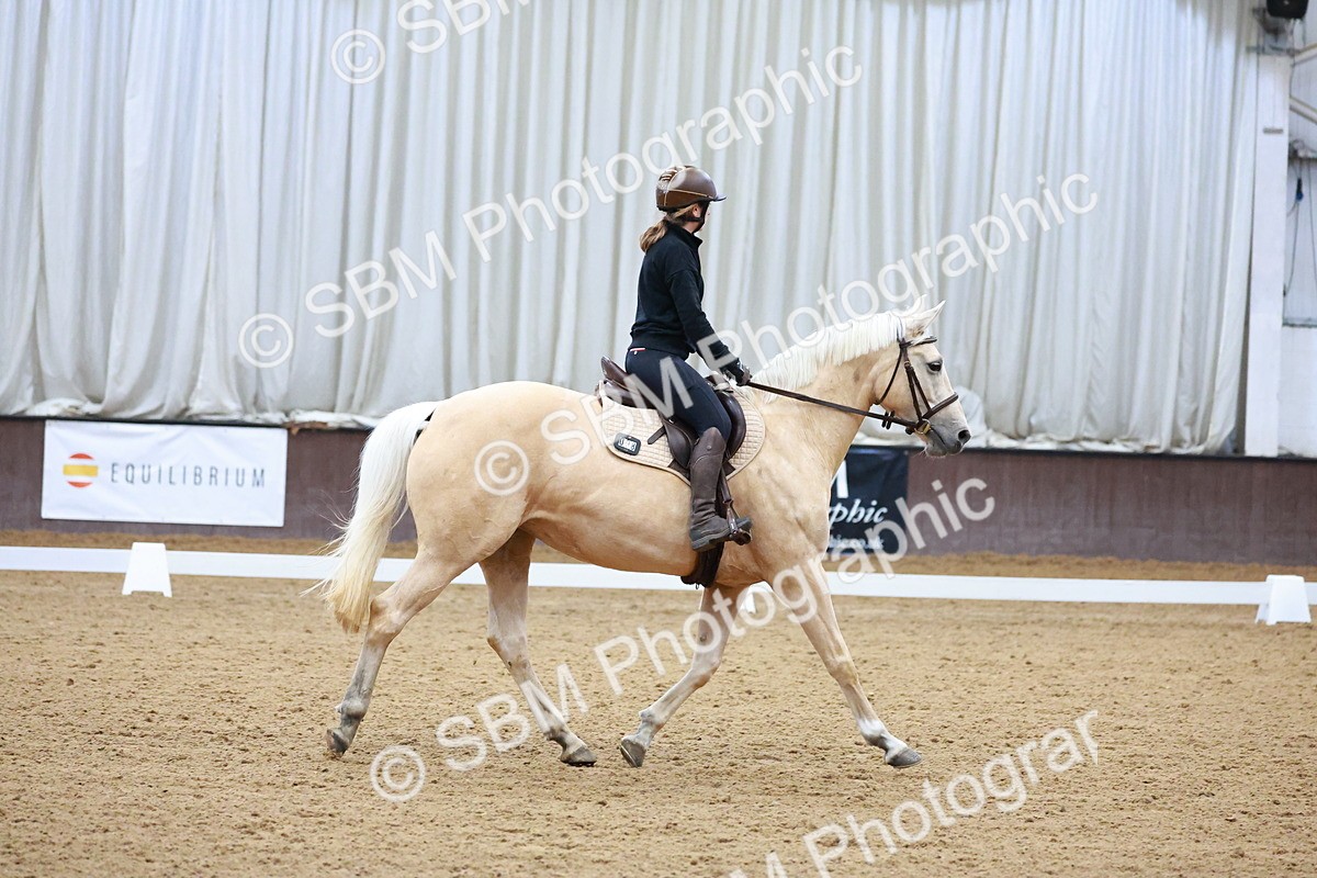 1I0A0611 - Class 3-6 - Prelim 1-Novice 2