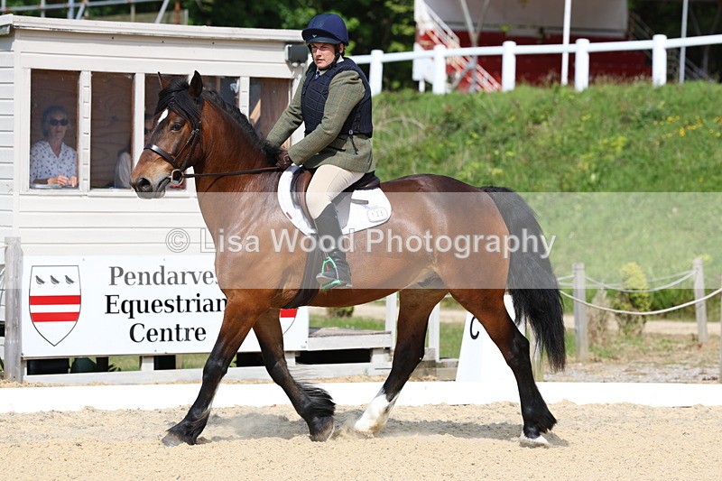 3E7A2970 - Class 1: INTRO sec A - Intro 3 2024