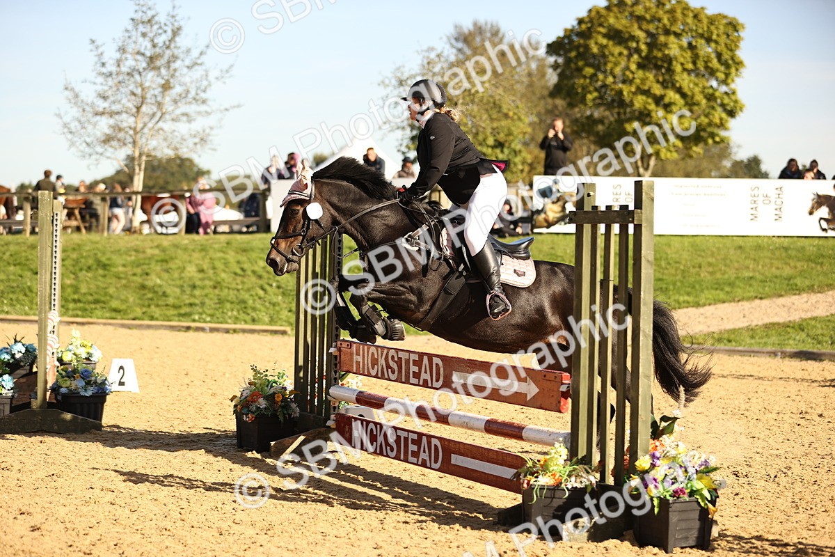 SBM_35170 - J38 - Senior 80cm Championship