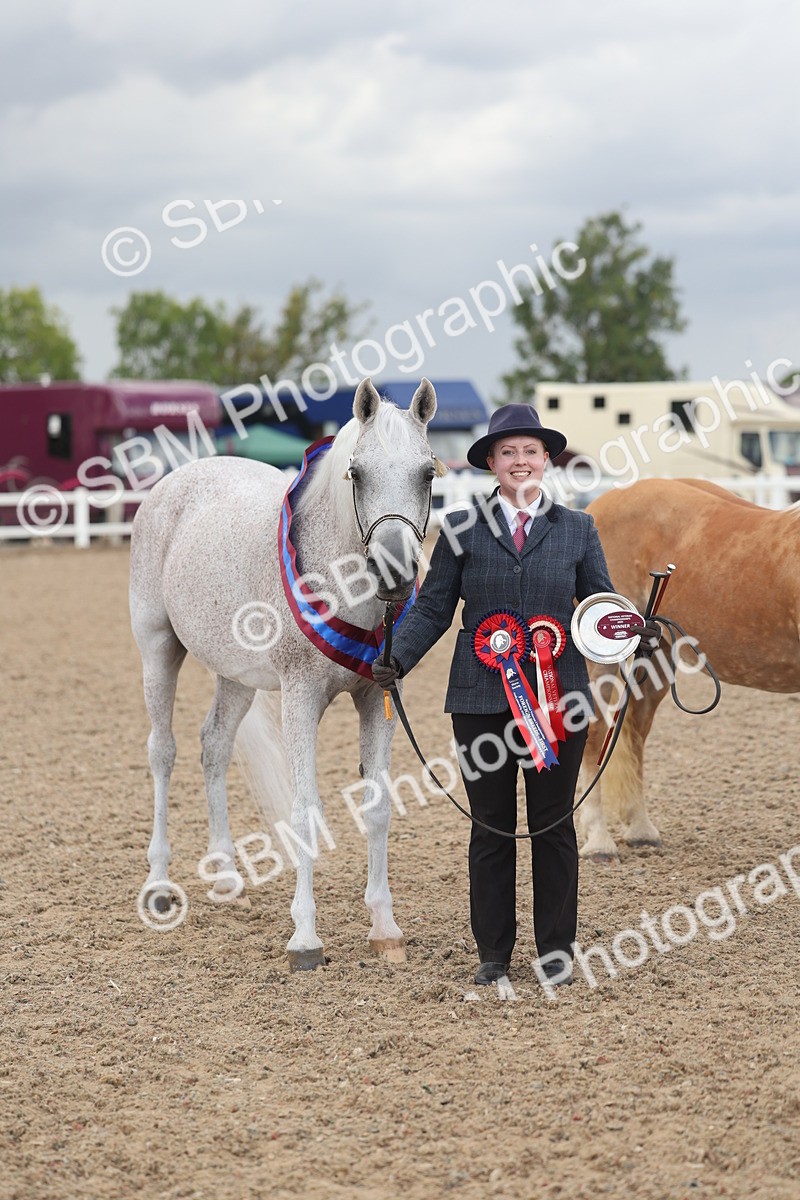 SBM_06907 - Class 25 - IH Foreign Breeds - Purebred