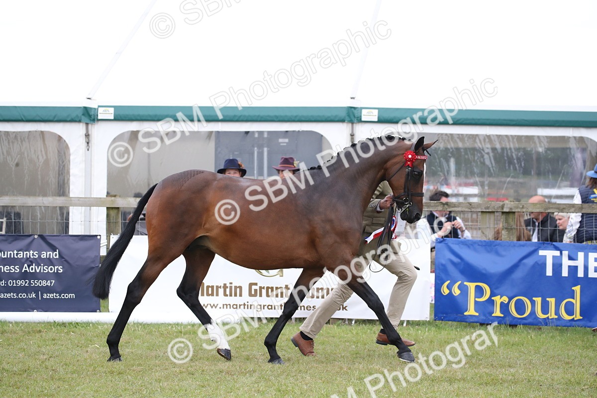 SBM_09783 - Ch 50 - Price Family Supreme In Hand