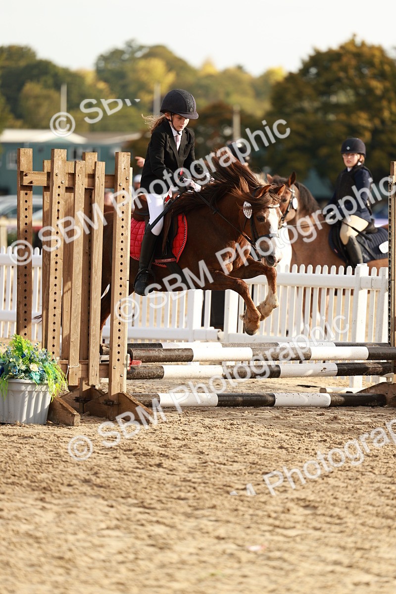 SBM_55609 - J11 - Junior Pony 50cm Championship