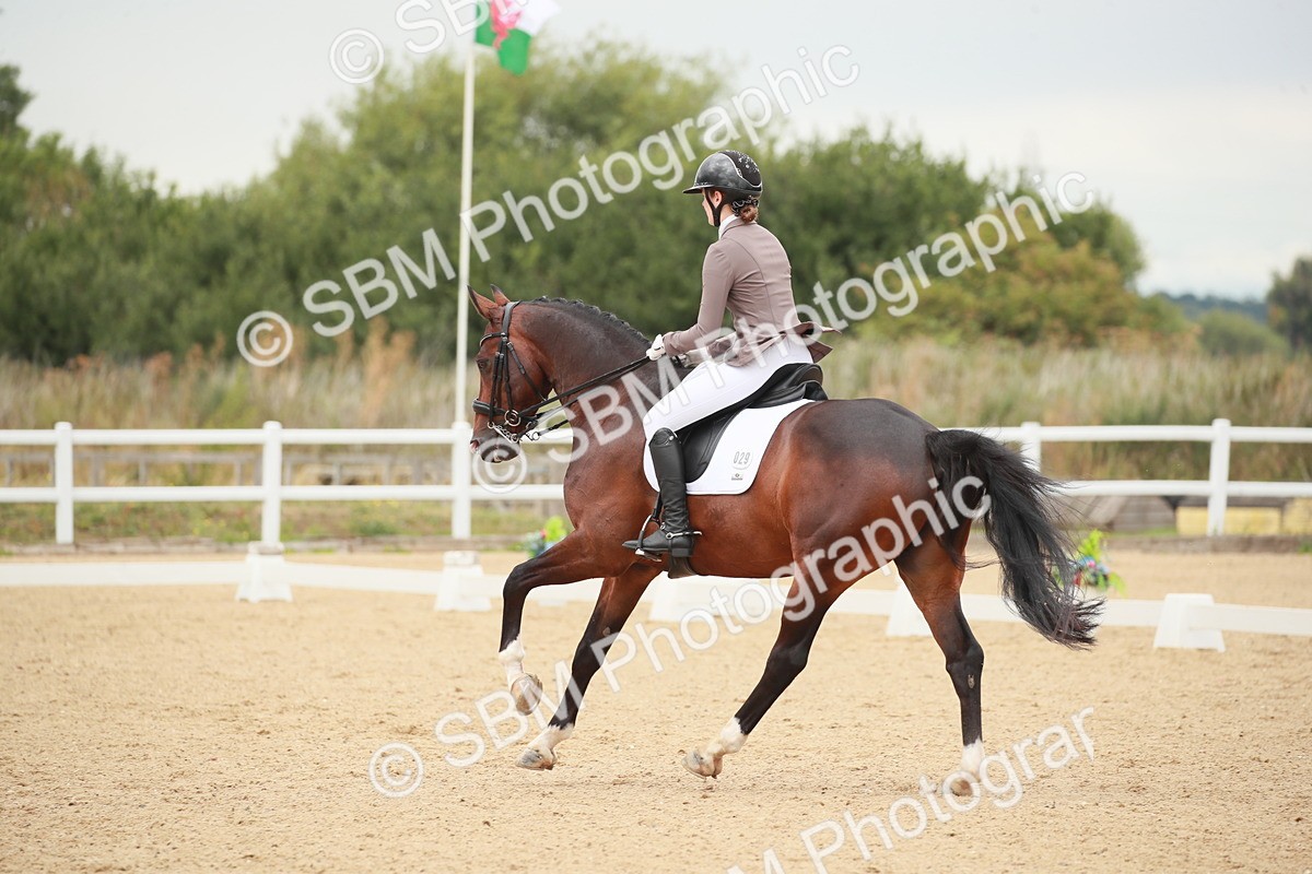 SBM_005188 - Class 4 - Medium 6 - 13.28-14.16