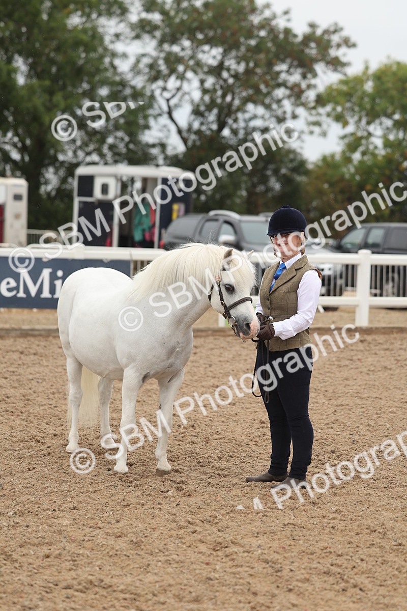 SBM_00590 - Class 13 Young Handler