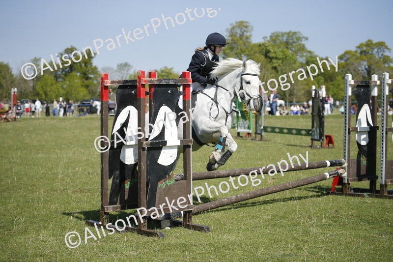 20250427-2182 - Class 13 - Novice Jumping 60cm