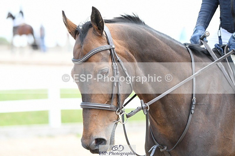 250801-134651-05658 - Cls 23  Nat Am 95