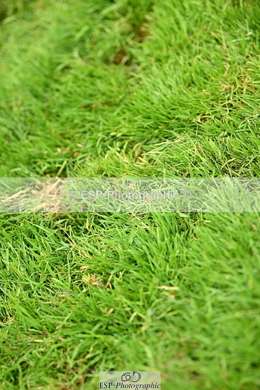 250706A-102220-17280 - Cls 43 Snr 1.30m Grand Prix