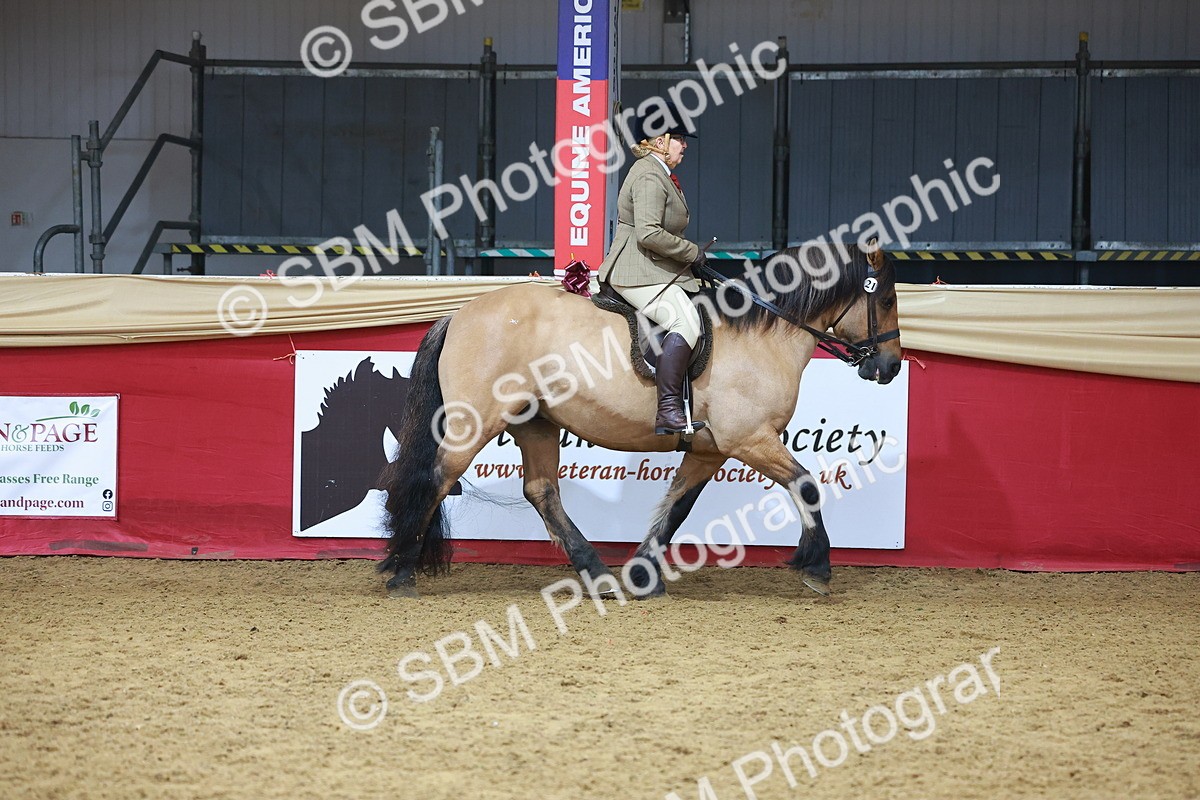 SBM_09368 - Class 102 - HOYS Veteran Qualifier - Ridden Veteran