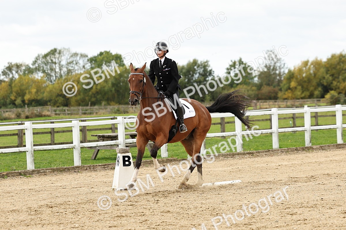 SBM_004522 - Class 69 - Novice 2