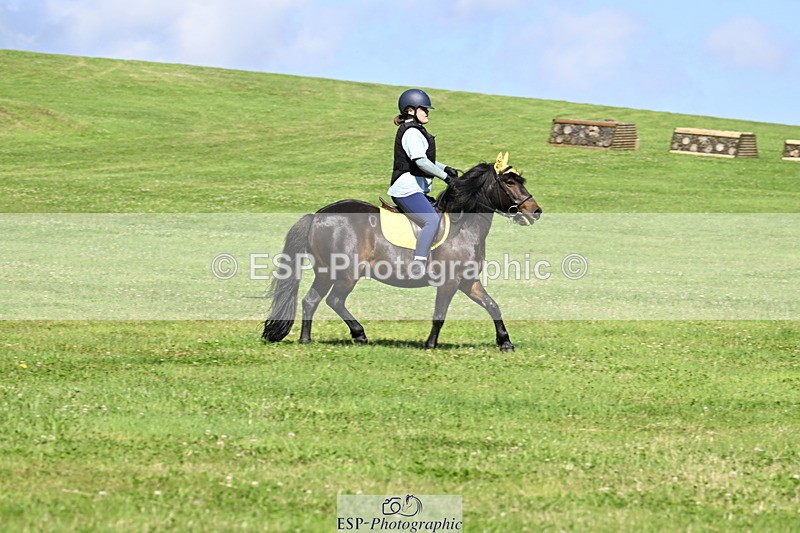 240728B-101905-00634 - Theo's Group XC