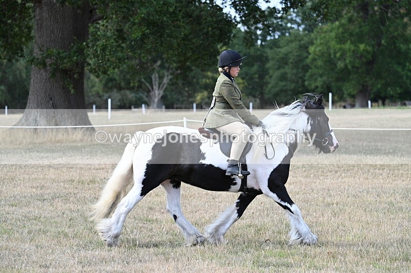 WJ7_7104 - Class 14 Ridden Coloured