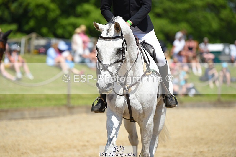 230528-115700-15457 - 313-LOUISBOURG_C-Jack_Whiteford-SUNTrotUp+SJ