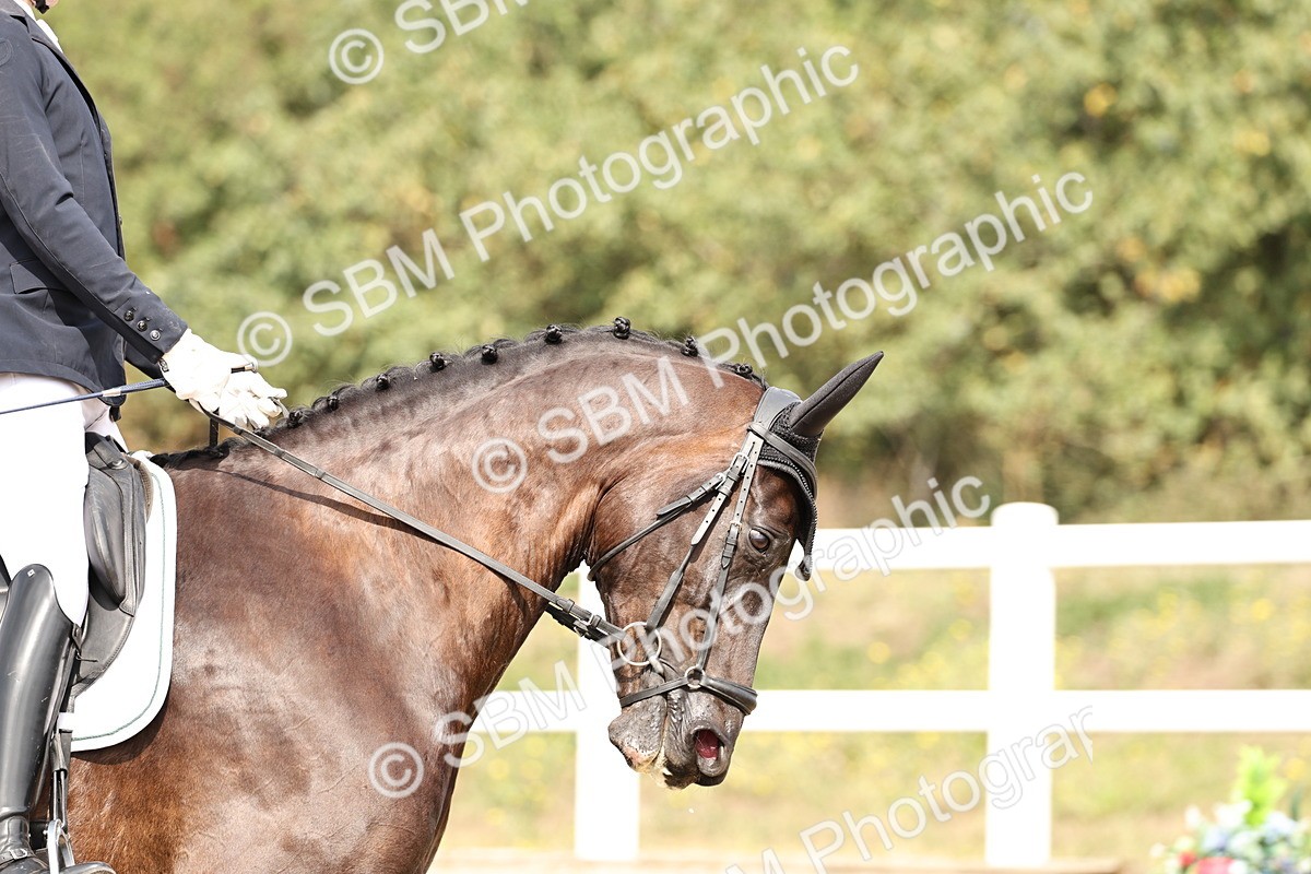 SBM_013073 - Class 3 - Novice 4 - 11.43-12.25
