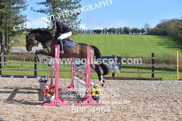 BPP_4964 - CLASS 13  Senior Discovery/ 1m Open