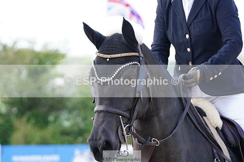 250425-134902-10078 - Cls 34 Young Horse 7yr old