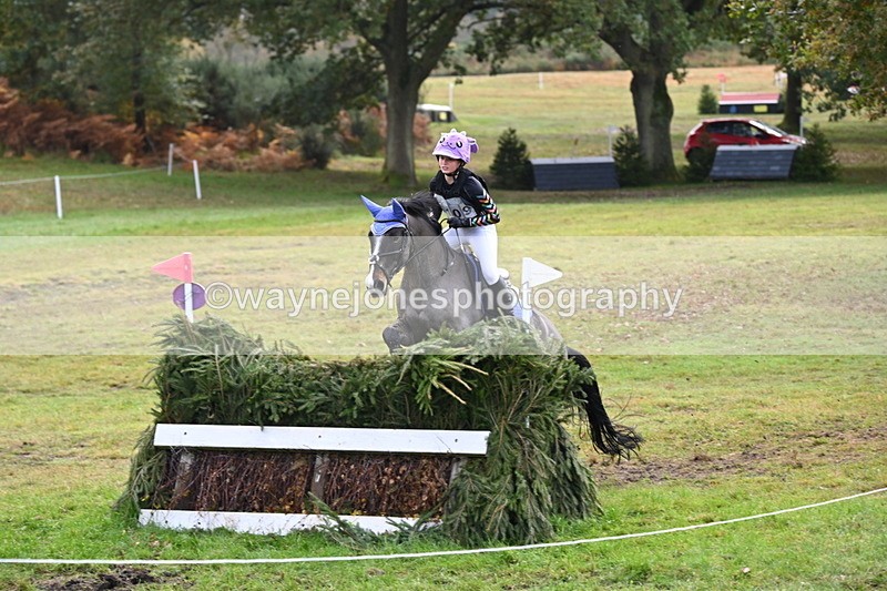 WJ6_1762 - 80cm Cam 1 Time 10:08 to 10:45