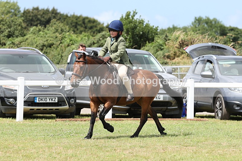 JPP_1945 - Class 18: Tiny Tots Working Hunter Pony