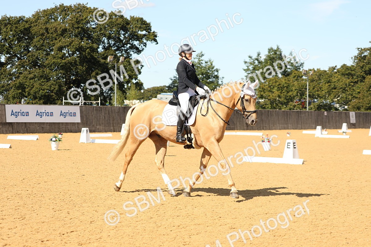 SBM_22304 - D17 - Grand Tour Championship - Novice 27