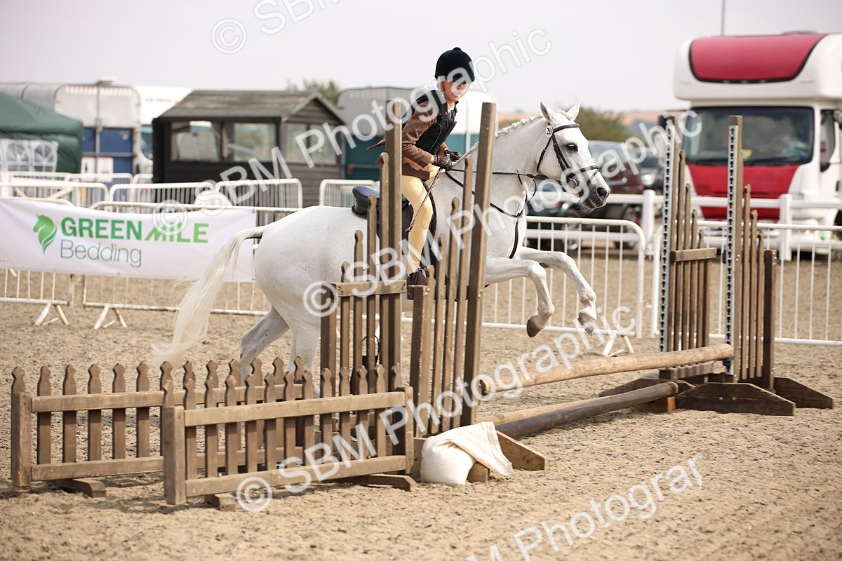 SBM_14252 - Class 407b - Working Veteran 60cm (20+)