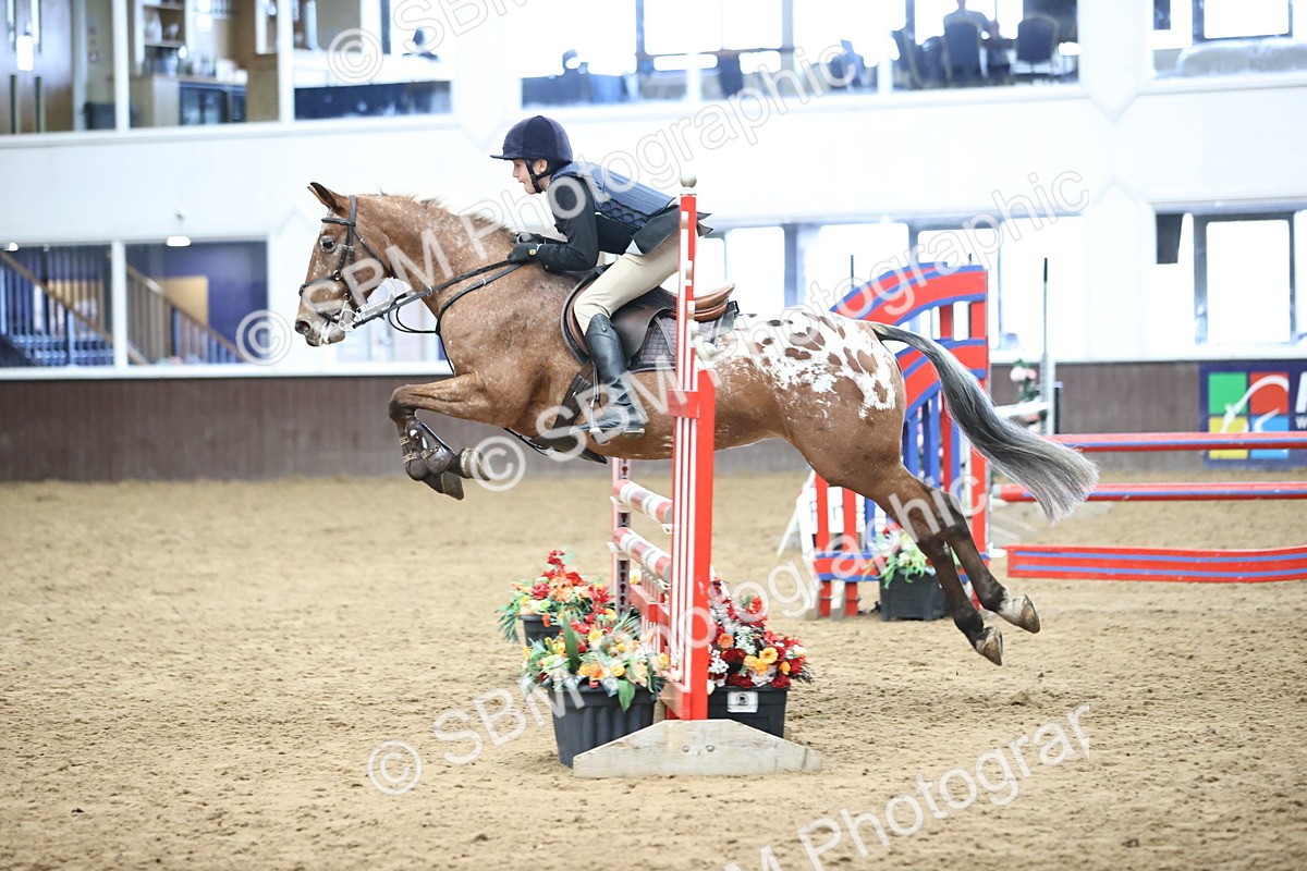 SBM_002397 - Class 11 - Pony Discovery - 90cm Open