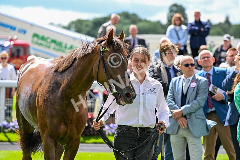 120626-Race 2-Everatease-7157 - Race 2 14.25pm Constant Security Keeping York Racegoers Safe Rous Selling Stakes
