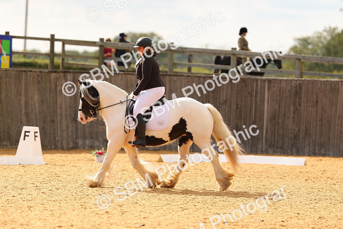 SBM_47442 - D6 - Small Tour Championship - Intro C