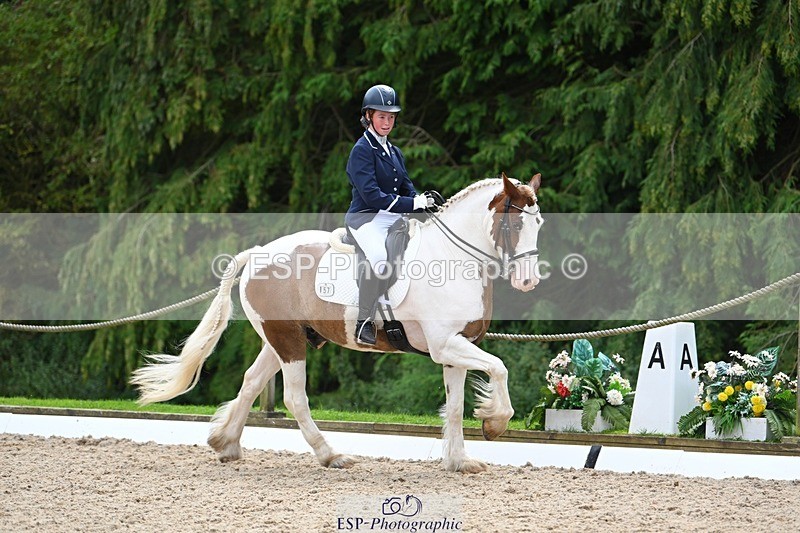 230813-123941-07121 - Cls 13 Medium Bronze Start to 13.00 break