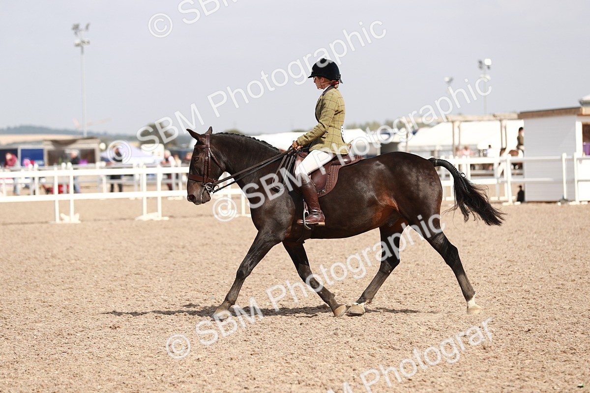 SBM_14903 - Class 212 Ridden Hunter - Small