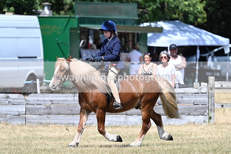 WJ7_3397 - Class 8 Ridden Veterans